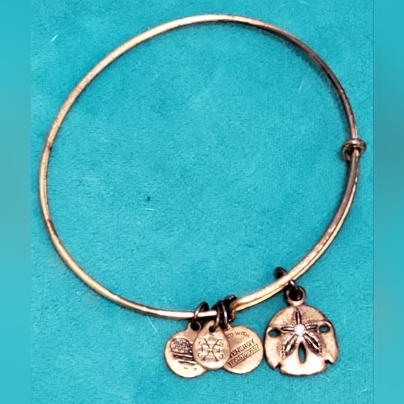 Alex and Ani Jewelry - Alex & Ani sand dollar charm bangle, Rafaelian gold